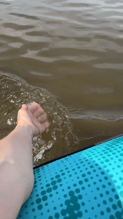 Kayaking and paddleboarding session documented at Chaikovsky beach