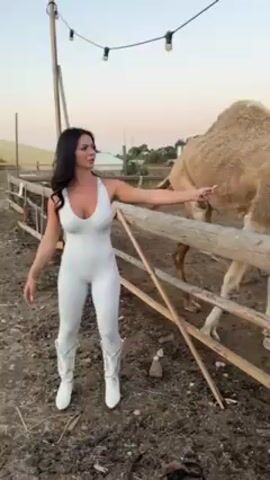 A woman is petting a camel in a pen. She has long dark hair and is wearing a white jumpsuit and white boots. The pen is made of wooden fences and there is dirt on the ground. There are some strung lights above the pen. The camel is tan and standing near the fence. The woman reaches through the fence to pet the camel on its hump.