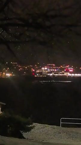 The video depicts a nighttime scene with a view of a brightly lit area across what appears to be a body of water. The foreground is dark, with the silhouette of a tree obscuring the upper part of the frame. Some greenery and a small structure can be seen closer to the camera. The distant area is illuminated with various lights, including what may be buildings or structures decorated with lights, some of which are red.  Car headlights can also be seen moving along a road. There is a slightly snowy or icy patch on the ground in the foreground.