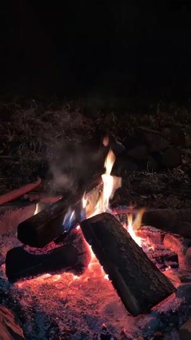 The video starts with a campfire burning brightly, logs ablaze, embers glowing. Cut to the interior of a building, where a window is backlit with moving colored lights, which create patterns on a brick-patterned curtain. The lights are multicolored, and a black speaker is sitting on the windowsill. The sound of music accompanies the entire video.