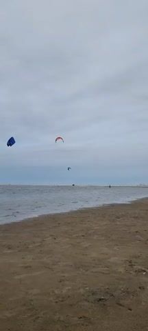 A beach scene with sand in the foreground and a body of water with gentle waves in the middle ground. The sky is overcast. Several kitesurfers are visible on the water in the distance. One kitesurfer is closer to the foreground on the left side of the frame, appearing to be actively engaged in kitesurfing. Another kite is visible in the sky on the left side of the frame. Further in the distance, two more kites are visible, one red and black, and another blue. The horizon is marked by a thin line of land or structures. The overall atmosphere is calm and breezy, suggesting an outdoor recreational activity.