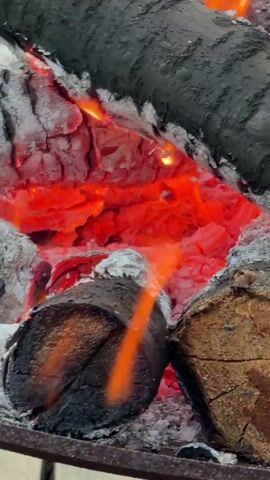 The video captures a close-up, dynamic view of a burning campfire. Several logs are stacked, with the foreground dominated by two logs. The left log, a dark, charred cylinder, shows the grain of the wood at its cut end, which is illuminated by the fire. To its right, a lighter-colored log with visible cracks offers a contrast in texture. The center of the frame is filled with intense heat and light emanating from the glowing red embers and flickering orange flames that weave between the logs and into a central cavity. The background features larger, darker logs, their surfaces appearing rough and greyed from the heat, with hints of white ash clinging to them. The scene is focused on the raw energy and visual spectacle of the fire, highlighting the transformation of wood into heat and light. There are no people or other objects visible, and the environment appears to be the immediate vicinity of the campfire. The camera's perspective is stable, offering a consistent, intimate look at the combustion process.