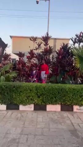 The video shows a man and woman posing for photos in an outdoor setting. The man is sitting cross-legged amidst bright green bushes and reddish-purple plants. He wears a deep purple suit and tie and smiles. The woman is standing behind him, with one hand on his shoulder and a smile on her face. She wears a red long-sleeve top and a colorful white skirt patterned with pink flowers. There is a building in the background and a surveillance camera on a pole. The sky is clear and blue.