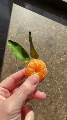 A hand holds a peeled orange with leaves attached, against a patterned countertop in sunlight. The orange is mostly peeled, with the skin mostly removed, and two green leaves attached at the top. The countertop has a brown and white marble-like pattern. A shadow falls across the upper left of the frame. The lighting suggests a sunny day.
