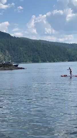 The video shows a person paddleboarding on a body of water. The person is standing on a red paddleboard and appears to be paddling with a paddle. In the background, there is a sailboat docked near a rocky shore. Behind the shore, there is a densely forested hill under a blue sky with scattered white clouds. The water is calm and reflects the sky and the surrounding landscape. The overall scene depicts a peaceful outdoor activity.
