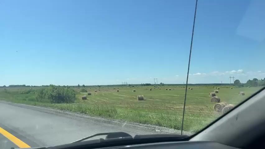 The video, shot from inside a vehicle, shows a rural landscape under a clear blue sky. A paved road with a yellow line runs along the left side of the frame. Beyond the road, a large field of green grass dotted with numerous round hay bales stretches into the distance. Sparse trees and power lines are visible on the horizon. On the side of the road, a circular red and blue traffic sign is briefly visible around the 00:02 mark. The vehicle appears to be moving, as evidenced by the changing perspective of the scenery. The overall impression is a sunny day in the countryside, possibly during harvest season.