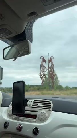 The video begins from the inside of a car, focusing on the dashboard and windshield. A hand is visible on the steering wheel. A smartphone is mounted on the dashboard. Through the windshield, a sculpture of two giraffes appears to be in the distance, with trees and a cloudy sky in the background. The car then appears to be moving, and the view shifts to show more of the road and surrounding landscape. Traffic signs and streetlights are visible, indicating the car is on a road and approaching an intersection or junction. The weather appears overcast.