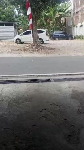 A white car and a dark blue SUV are parked on a dirt lot next to a paved road. A red and white flag is attached to a tree on the lot. A person on a motorcycle passes by on the road. The video appears to be recorded from a low angle, possibly from a gutter or drain.