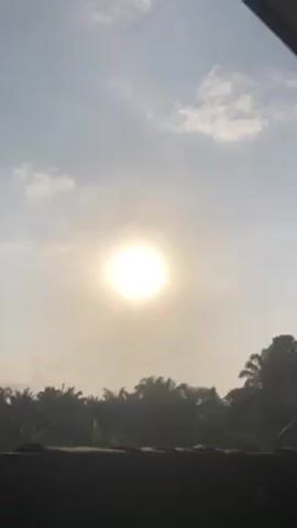 The video shows a bright sun in a sky with a few scattered clouds. The sun is obscured by a slight haze. Below the sky is a line of silhouetted trees. The camera pans slightly upward revealing the edge of a roof in the foreground.