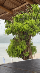 Oceanfront yoga under a thatched pavilion, Rawai shoreline
