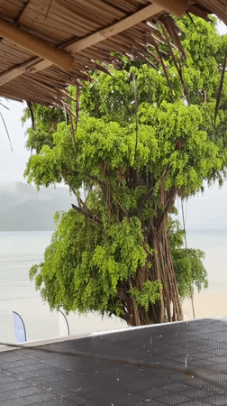 Oceanfront yoga under a thatched pavilion, Rawai shoreline