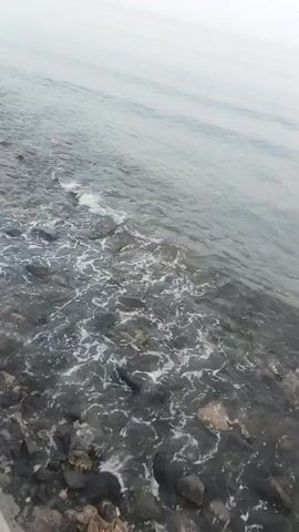 The video shows a rocky shore meeting the ocean on a foggy day. The water is calm with small waves gently lapping against the rocks. The sky is overcast, creating a hazy atmosphere over the sea. There are no people or any other objects visible in the scene.