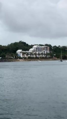 The video pans across a body of water, likely a bay or harbor, with a cloudy sky overhead. On the shore, a modern, multi-story building with white and gray accents is visible, surrounded by lush green trees. In front of the building, a line of palm trees borders a sandy area. Several boats are scattered on the water, including a small white boat in the foreground and a sailboat further out. The camera continues to pan, revealing a more densely populated harbor with numerous sailboats and smaller vessels moored or moving on the water. The shoreline in the distance is lined with more buildings and vegetation. The overall scene depicts a coastal area with residential or resort buildings and a busy marine environment.