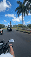White ducks by a pond, scooters rolling past palm-lined road