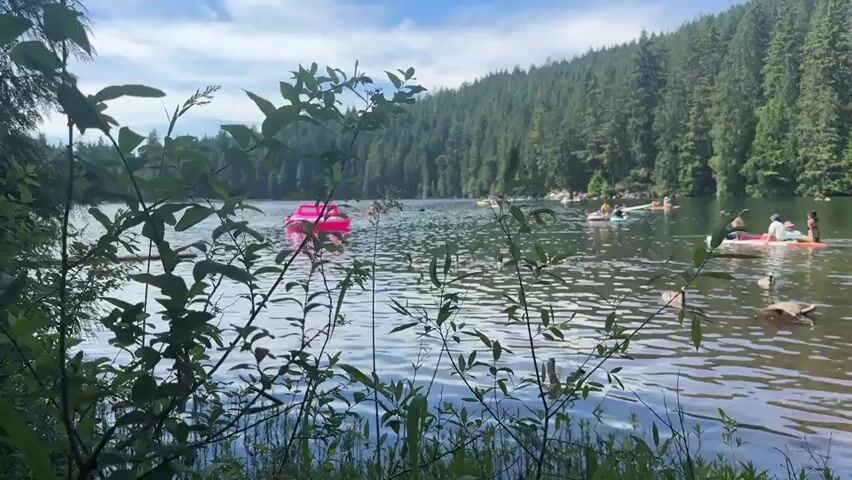 The video shows a lake on a sunny day, with a dense forest covering the hills in the background. The foreground is partially obscured by green leaves and branches. In the lake, there are several people enjoying various water activities. A bright pink inflatable toy is prominent in the middle of the lake. Several ducks are swimming near the shore, and some people are visible on paddleboards and kayaks further out on the water. The water has a rippled surface, reflecting the sunlight. The overall scene depicts a leisurely day at a popular lake.