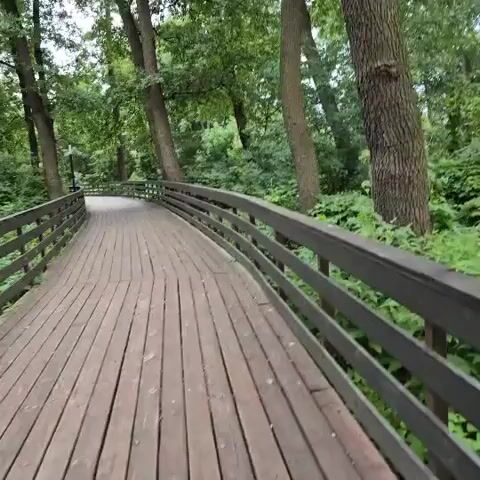 A wooden boardwalk curves to the left through a forest. The boardwalk is made of parallel wooden planks and has dark wooden railings on both sides. Tall trees with green leaves surround the boardwalk. The ground is covered in lush green foliage. The scene appears to be daytime, with overcast skies.