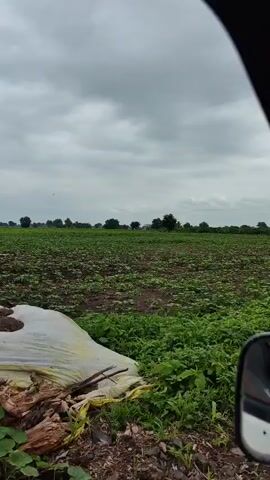 The video shows a wide shot of a farm field under a cloudy sky. In the distance, a few trees are visible. In the middle ground of the field, three people are working. One person is bent over, appearing to be engaged in agricultural work. Another person stands nearby, and a third person is partially obscured. The field is covered with green plants, and the soil is dark. The camera appears to be mounted on a moving vehicle, as evidenced by the partial view of a side mirror on the right side of the frame.