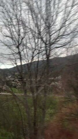 The video shows a view from a moving train window, revealing a landscape with a backdrop of forested hills under an overcast sky. In the foreground, blurred bare trees give way to a field of green grass and a complex of buildings and roads. A small building and a blue vehicle are visible near what appear to be stacked hives. A person is seen walking in the distance near the building. Trees with white blossoms dot the area. The reflection of the train window is overlaid on the scene.