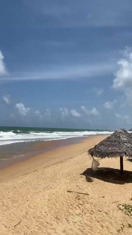 A wide shot captures a tranquil beach scene under a bright, blue sky dotted with fluffy white clouds. The foreground is dominated by a sandy beach, with a few scattered twigs and shadows cast by unseen objects. To the right, a thatched-roof umbrella stands, providing shade. Beyond the sand, the ocean stretches out, its turquoise waters meeting the horizon. Gentle waves roll onto the shore, creating a foamy white edge. The overall impression is one of peaceful isolation and natural beauty.