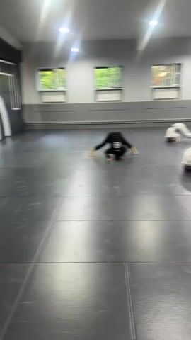 This video depicts several individuals practicing martial arts in a dojo. The subjects are dressed in gi, with some wearing white gis and blue belts, and one individual in a black gi with a blue belt. They are on a grey mat, performing exercises that involve headstands and forward rolls. The setting appears to be an indoor training space with windows showing trees and daylight outside, suggesting it is daytime. The room has plain grey walls with some light fixtures visible on the ceiling. Two blue banners with a blue graphic are hanging on the far wall. The overall mood seems to be one of focused practice and physical exertion. No visible text is discernible.
