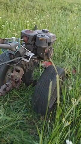 The video shows a tiller with a red deck and two wheels moving through tall grass and small white flowers. The tiller has a black engine and appears to be in motion. The camera is held at a low angle, close to the ground, and the footage is shaky, suggesting it was taken while walking.