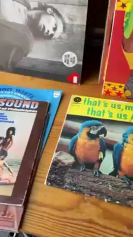 Here's a matter-of-fact description of the video scene:

The video shows a collection of vinyl records and CDs laid out on a wooden table.  The records include "That's Us, Man Louis Prima That's Us!" with a cover featuring two blue and yellow macaws, and "Golden Soul 2 LP Album" showcasing various artists. Other records and CDs are visible, including some by Bob Marley and David Bowie. In the background are lighting equipment and sound equipment. The setting appears to be indoors, possibly a storage area or shop. The camera pans across the items on the table, showcasing the variety of music media.