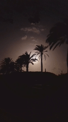 Evening scenes documented across Pedro González, Venezuela coastal community