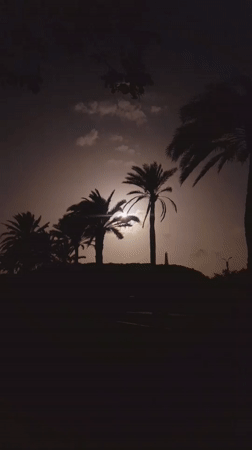 Evening scenes documented across Pedro González, Venezuela coastal community