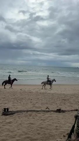 Two people are riding horses on a sandy beach near the ocean. The sky is overcast with clouds. The person on the left is on a brown horse and is looking towards the ocean. The person on the right is on a lighter colored horse and appears to be looking at their phone while riding. Waves are gently rolling onto the shore. In the foreground, there are pieces of driftwood and sand.