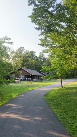 The video pans across a tree-lined path leading to a rustic wooden cabin with a porch. The cabin is set in a grassy clearing dotted with small white flowers. Another similar cabin is visible in the distance. Trees and foliage surround the area, creating a serene, natural setting. The lighting suggests it is either early morning or late afternoon. No people or specific activities are depicted in the video.