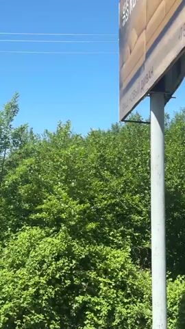 The video pans across a landscape. Initially, the view is of green trees against a blue sky with white clouds. Overhead power lines are visible. As the camera moves, it reveals a roadside scene. A sign and a tire shop labeled "ШИНОМОНТАЖ №1" are seen. The camera briefly focuses on trees, including one with vines growing up its trunk. Mountains are visible in the background. The wind is blowing strongly.