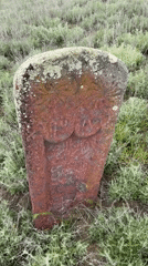 Ancient stone slab with lichen observed in Georgian field