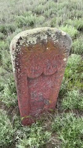 A weathered, reddish-brown stone slab stands upright in a field of dry, light green and greyish-green vegetation. The top edge of the stone is covered with patches of white and green lichen. Intricate carvings are visible on its surface. Near the top, two stylized circular patterns, resembling sunbursts or flowers, are carved into the stone. Below these, there are two prominent, slightly raised, rounded shapes, and further down, several lines of faded, indecipherable script, possibly Arabic calligraphy, are etched. The stone is partially embedded in the ground, which is uneven and covered with low-lying grass and shrubs. The scene appears to be an outdoor, rural setting during daytime, with soft, possibly overcast, lighting.