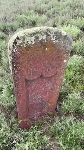 Ancient stone slab with lichen observed in Georgian field