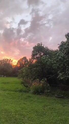 A video shows a grassy field with trees and a fence in the background. The sky is filled with pink and orange clouds, suggesting a sunset. The camera pans slowly across the scene.