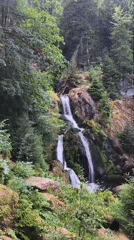 Triberg's waterfalls and cuckoo clocks, Black Forest classics