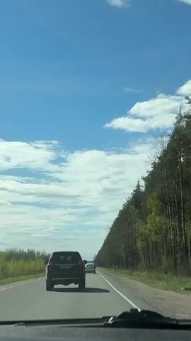 The video shows a view from inside a car, looking out through the windshield while driving down a straight, paved highway. The sky above is blue with scattered white clouds. On the right side of the road, a dense line of tall pine trees forms a distinct border. A few other vehicles are visible on the road ahead, including a dark SUV, a white car, and a motorcycle. The landscape to the left of the road appears to be a mix of fields and low-lying vegetation. The sun is shining brightly.