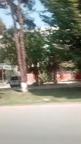 The video shows a passing view from a vehicle, focusing on a street scene. Trees with lush green foliage line the side of the road, some with white-painted trunks. Buildings, including a multi-story structure with red accents and balconies, are visible in the background. Cars are parked and driving along the street, and there are a few pedestrians walking. The scene suggests a residential or mixed-use urban environment on a sunny day. An archway with lettering is visible at one point, indicating an entrance to a Mahalla. The footage is blurry due to the movement of the vehicle, creating a sense of motion.