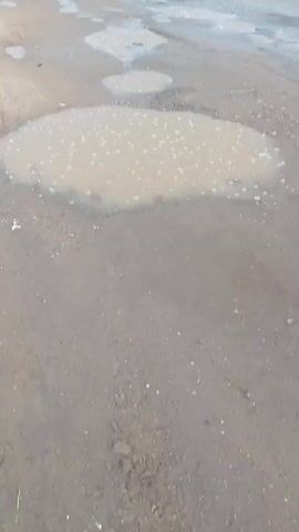 The video shows a close-up view of a muddy dirt road with several puddles of water. Raindrops are visible falling into the largest puddle in the foreground, creating ripples on the surface. The road appears uneven and worn, with some loose gravel and debris scattered around. In the background, a few smaller puddles are visible, and beyond that, a line of trees and vegetation can be seen. The overall impression is that of an unpaved rural road during or shortly after a rain shower.