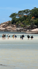 Lazy beach day on Ko Tao, Thailand
