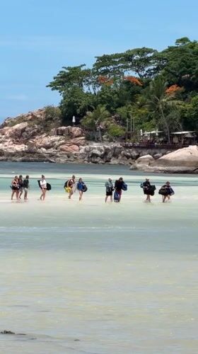 Lazy beach day on Ko Tao, Thailand