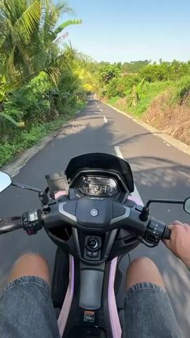 The video shows a first-person perspective of someone riding a pink and black scooter on a paved road lined with palm trees and lush green vegetation. The sky is clear and blue. The scooter's digital display shows the speed is around 20-23 km/h. The rider's hands are on the handlebars, and their legs are visible, wearing denim shorts. The road ahead appears to be winding and leads towards a forested area with rolling hills in the distance. The lighting suggests it is daytime, likely morning or afternoon, with shadows cast by the trees.
