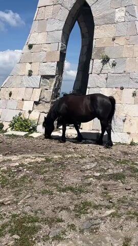 A dark-colored horse is grazing on the ground in front of a large stone structure with an arched opening. The horse is facing left and its head is down, eating grass. The stone structure appears to be made of large, light-colored rectangular blocks. The ground is covered in dirt, rocks, and patches of grass. In the background, there is a blue sky with some white clouds and hints of distant hills. The video is shot from a slightly low angle, looking up at the horse and the structure. The lighting suggests it is daytime.