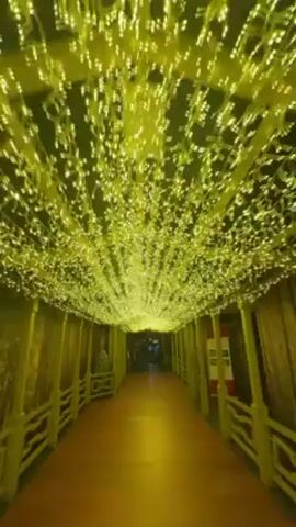 The video shows a long, straight corridor illuminated with yellow light. The corridor has a brown floor and is lined with pale yellow railings. Above, the ceiling is covered in a dense canopy of twinkling, yellow lights, creating a somewhat ethereal and magical effect. People are visible at the end of the corridor, although they appear small and indistinct. There are display cases with what look like artifacts behind the railings on each side of the corridor.