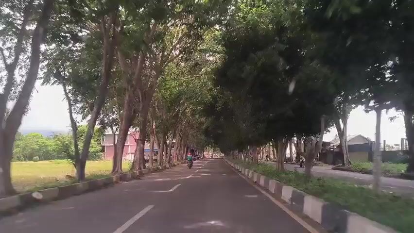 The video depicts a road lined with tall, leafy trees, creating a tunnel-like effect. A few vehicles, including motorcycles, are visible driving on the road. On the side of the road, there's a small structure, possibly a roadside shop or stall, with people gathered around it. A grassy field is visible to the left of the road.
