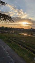 Rural North Kuta evening: scooters, joggers, sunset over paddies