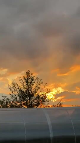 The video shows a time-lapse of a sunset with dramatic clouds. The sun is partially obscured by trees and clouds, casting a warm orange glow across the sky. In the foreground, the top of a greenhouse is visible. The camera appears to be stationary, and the video is shot in portrait mode.