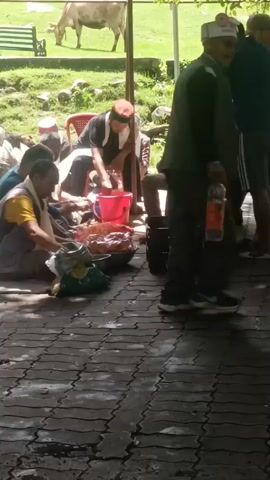 A group of people are gathered around a table outdoors. A cow is visible in the background. The ground is paved with interlocking bricks, and there is some shade from trees overhead. Several people are sitting on chairs or on the ground, and some appear to be preparing food. A red bucket is on the table, and there are bowls of food. Some individuals are standing, observing or interacting with the group. The environment appears to be a park or a similar outdoor recreational area.