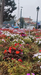 Morning life captured in Da Lat parks and streets