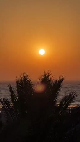 The video shows a vertical shot of a sunset over the ocean. The sun is a bright white orb against a gradient of orange and yellow in the sky. In the foreground, silhouettes of palm tree fronds obscure the view of the ocean and a beach. The ocean is calm with small waves. In the distance, there appear to be beach umbrellas and some structures on the shoreline. The overall mood is serene and tropical.